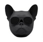 Bluetooth speaker for dog head