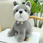 Nari Doll Ragdoll Children's Birthday Gift