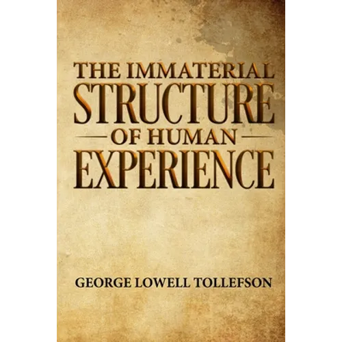 The Immaterial Structure of Human Experience - Paperback
