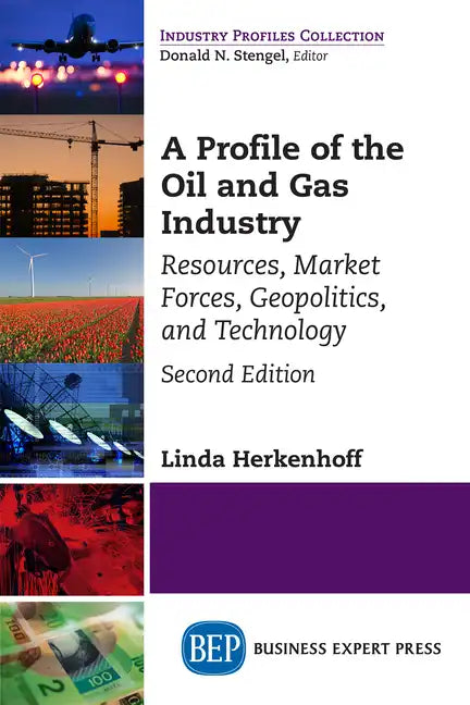 A Profile of the Oil and Gas Industry, Second Edition: Resources, Market Forces, Geopolitics, and Technology - Paperback