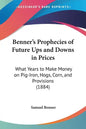 Benner's Prophecies of Future Ups and Downs in Prices: What Years to Make Money on Pig-Iron, Hogs, Corn, and Provisions (1884) - Paperback