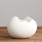 Eggshell Living Room Ceramic Hydroponic Vase Pot Desktop Flower Small And Simple Indoor Green Dill