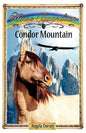 Condor Mountain: Sometimes Horses Need a Little Magic - Paperback