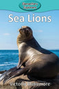 Sea Lions - Paperback