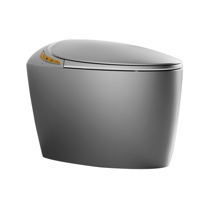 Smart Toilet One-Piece Gray Bidet Auto Lid Heated Seat Night Light 1.28 GPF