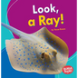 Look, a Ray! - Paperback