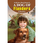 A Dog of Flanders - Paperback