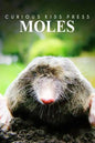 Moles - Curious Kids Press: Kids book about animals and wildlife, Children's books 4-6 - Paperback