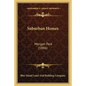 Suburban Homes: Morgan Park (1886) - Paperback
