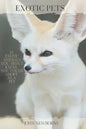 Exotic Pets: 21 Exotic Animals You Didn't Know You Could Adopt as a Pet: (A variety of rare and cute species of reptiles, mammals, - Paperback