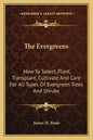 The Evergreens: How to Select, Plant, Transplant, Cultivate and Care for All Types of Evergreen Trees and Shrubs - Paperback