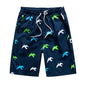 Summer Shorts Men's Seaside Beach Loose Outdoor Sports Big Pants