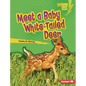 Meet a Baby White-Tailed Deer - Library Binding