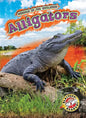 Alligators - Library Binding