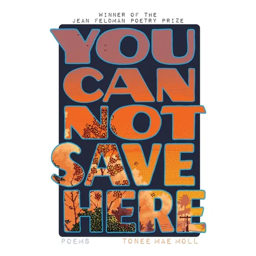 You Cannot Save Here - Paperback