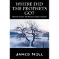 Where Did The Prophets Go?: Proof That Prophets Exist Today - Paperback
