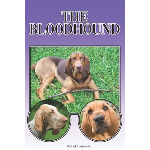 The Bloodhound: A Complete and Comprehensive Beginners Guide To: Buying, Owning, Health, Grooming, Training, Obedience, Understanding - Paperback