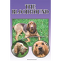 The Bloodhound: A Complete and Comprehensive Beginners Guide To: Buying, Owning, Health, Grooming, Training, Obedience, Understanding - Paperback