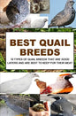 Best Quail Breeds: 10 Types Of Quail Breeds That Are Good Layers And Are Best To Keep For Their Meat - Paperback