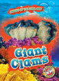 Giant Clams - Library Binding