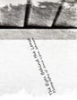The Eye Behind The Lense - Paperback