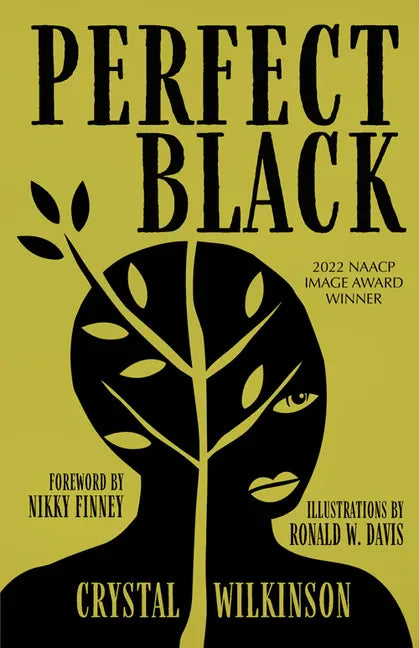 Perfect Black - Hardcover