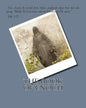 The Book of Enoch - Paperback