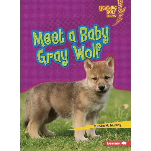 Meet a Baby Gray Wolf - Paperback