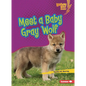 Meet a Baby Gray Wolf - Paperback