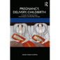 Pregnancy, Delivery, Childbirth: A Gender and Cultural History from Antiquity to the Test Tube in Europe - Paperback