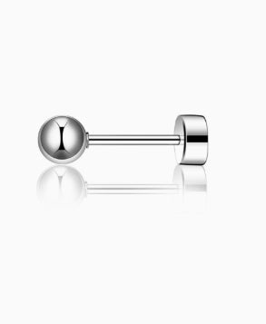 Stainless Steel Platinum Finish Titanium Steel Barbell Round Weight Plate