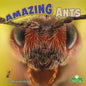Amazing Ants - Library Binding