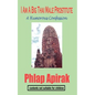 I Am A Big Thai Male Prostitute: A Humorous Confession - Paperback