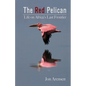 The Red Pelican: Life on Africa's Last Frontier - Paperback