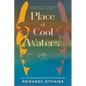 Place of Cool Waters - Paperback