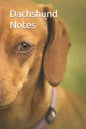 Dachshund Notes - Paperback