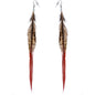 Natural Beauty Feather Earrings