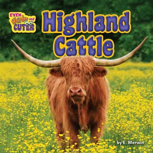 Highland Cattle - Library Binding