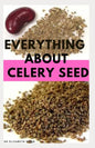 Everything about Celery Seed: Growing, Healing, Recipes, Health Benefits, Medical Uses and lots more - Paperback