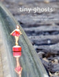Tiny Ghosts: Things that once seen cannot be easily unseen - Paperback
