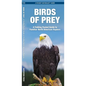 Birds of Prey: An Introduction to Familiar North American Species