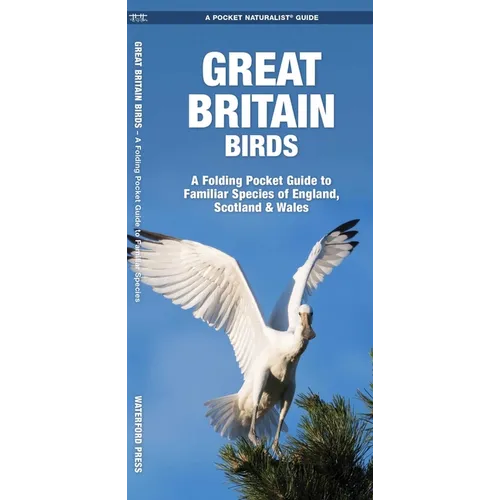 Great Britain Birds: A Folding Pocket Guide to Familiar Species of England, Scotland & Wales