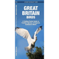 Great Britain Birds: A Folding Pocket Guide to Familiar Species of England, Scotland & Wales