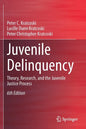 Juvenile Delinquency: Theory, Research, and the Juvenile Justice Process - Paperback