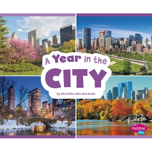 A Year in the City - Paperback