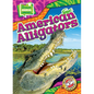 American Alligators - Library Binding