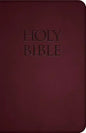 Holy Bible-Nab - Imitation Leather