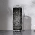 Nordic Light Luxury Simple Transparent Glass Vase Living Room Table Decorations Ornaments