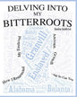 Delving into My Bitterroots: How I Resurrected My Enslaved Ancestor, Granvill, and So, Can you - Paperback