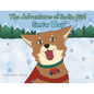The Adventures of Sadie Girl: Snow Day - Paperback